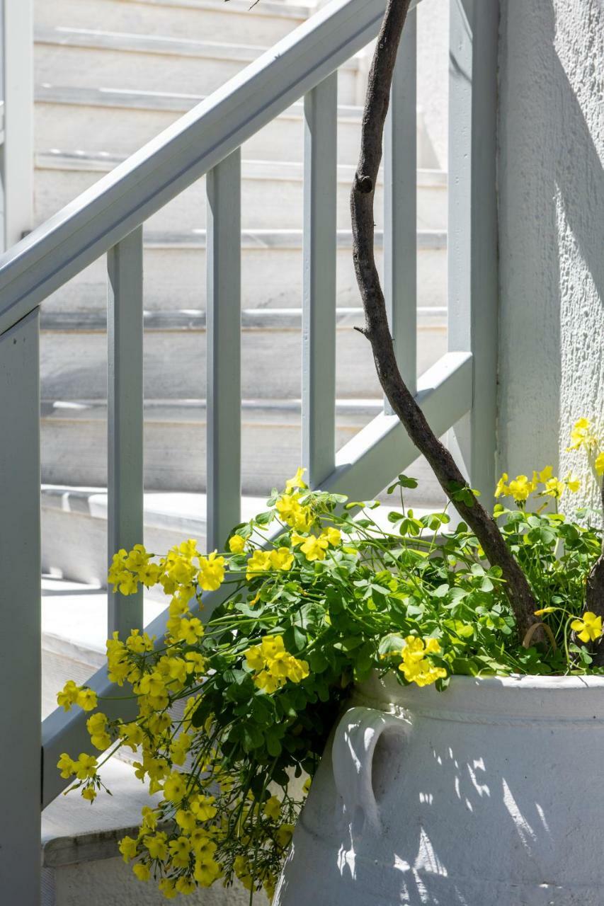 Secret Garden Apartments Mykonos Town Ngoại thất bức ảnh