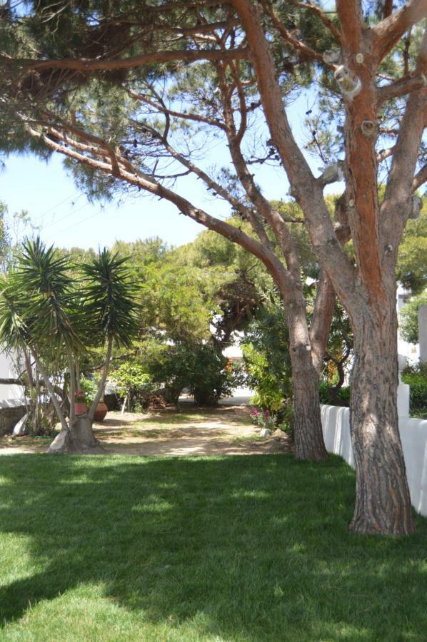 Secret Garden Apartments Mykonos Town Ngoại thất bức ảnh