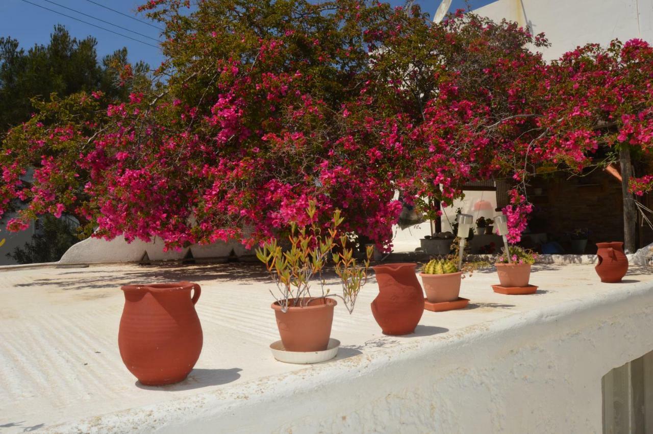 Secret Garden Apartments Mykonos Town Ngoại thất bức ảnh